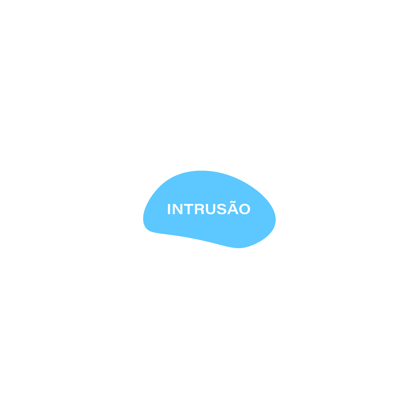 Website - Intrusão