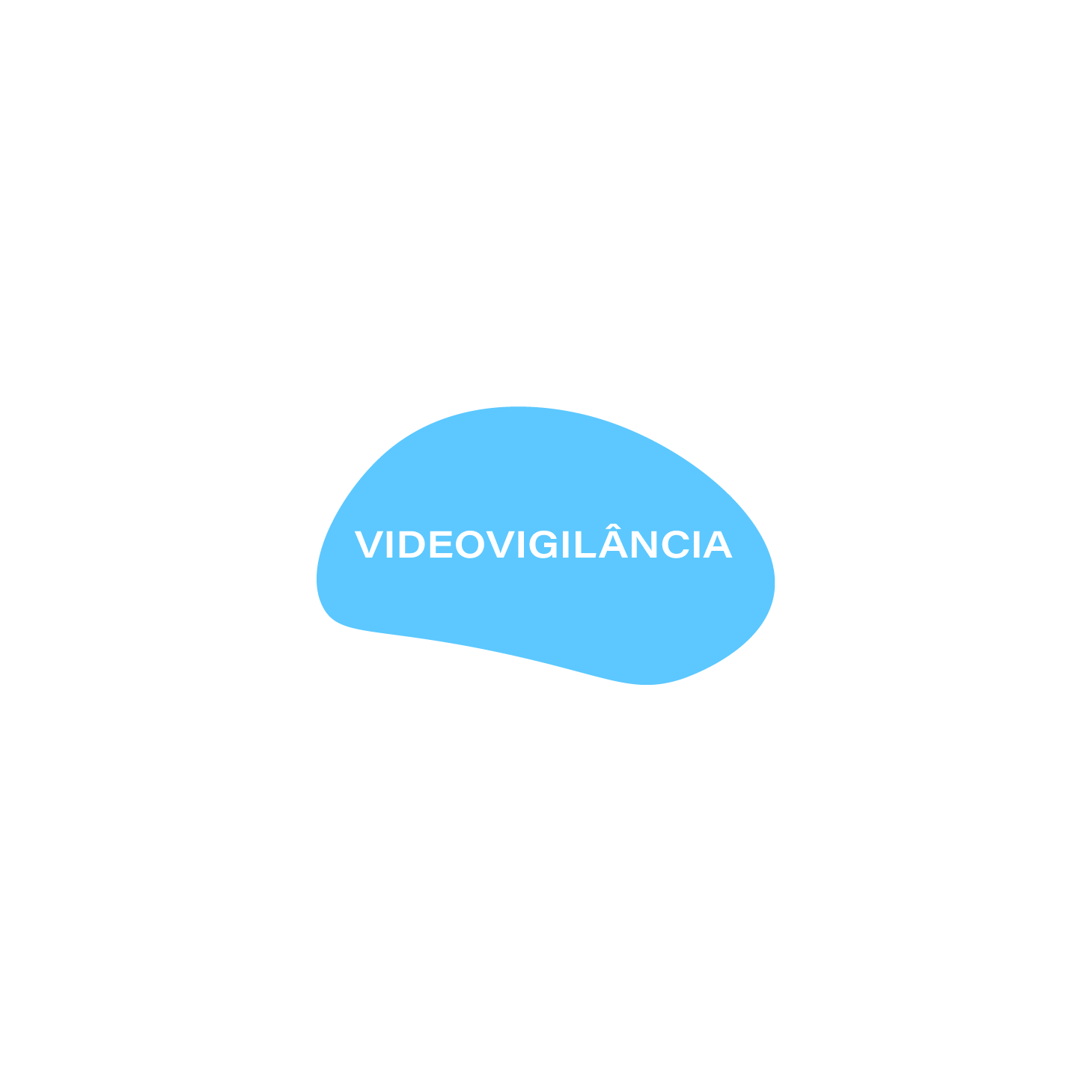 Website - VideoVigilância